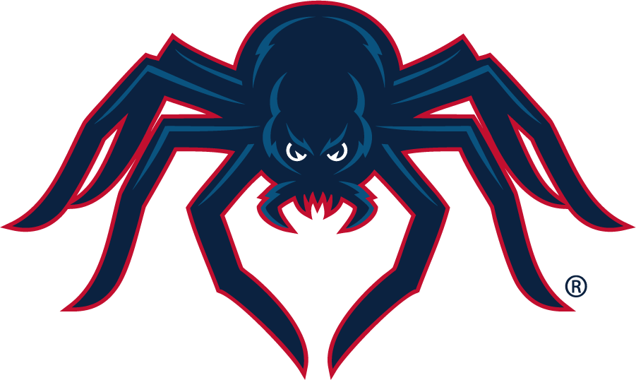 Richmond Spiders 2002-2012 Secondary Logo diy DTF decal sticker